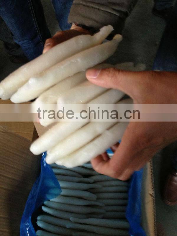 Frozen Squid Tube U7