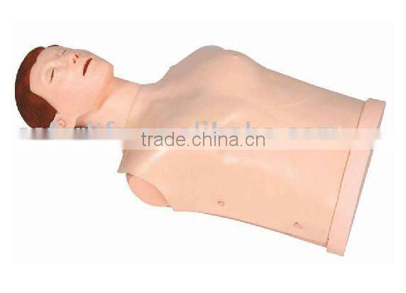 CPR model of male and female CPR skills training model