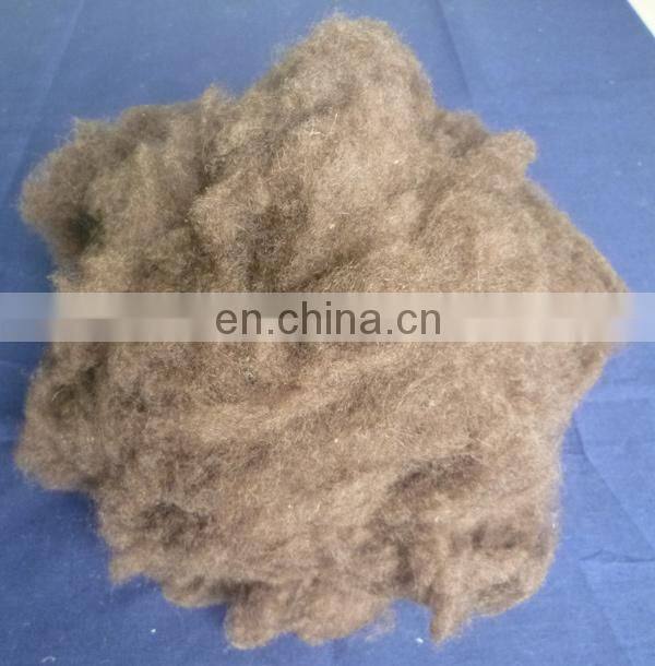 sheep wool open tops white for woolen spinning