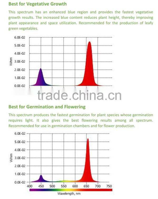 t- 8led 20w best ratio of light hot sale on USA LED grow light for indoor house