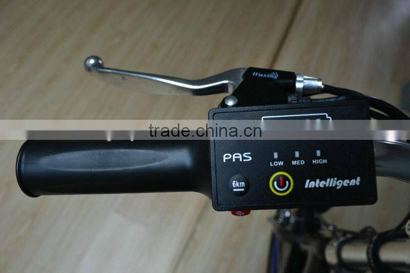 2014 new style best electric kickbike dog scooter