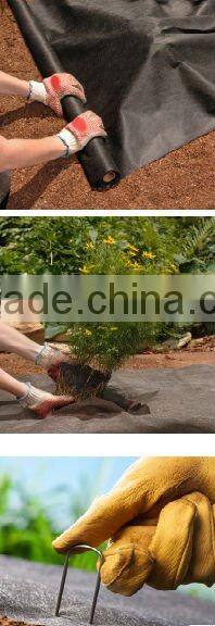 Foreign customer visit our factory for pp nonwoven fabric