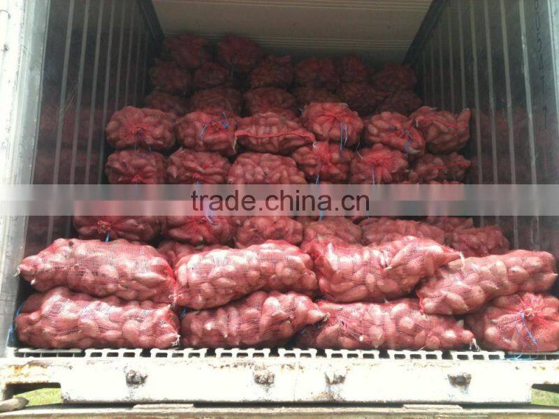 HIGH QUALITY JAPAN SWEET POTATO