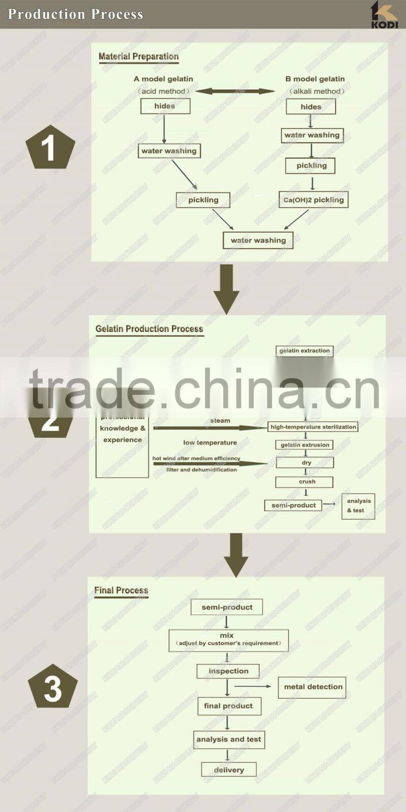 KODI High Quality Skin Gelatin Production Line