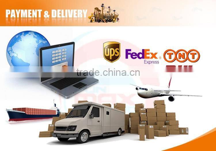 Push Chair--Disabled Fitness Equipment