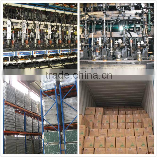 Nice design borosicate glass food container for North America market