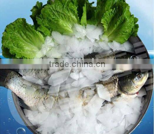 marine flake ice machine/salt water flake ice machine