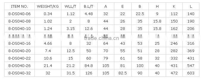 DS040 G80 Swivel Hook With Latch