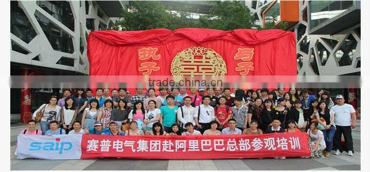 2014 hot sale wind solar hybrid inverters SP-T-13KW