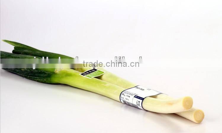 self adhesive roll label PP for food