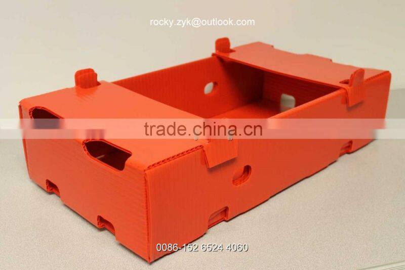 PP fruit and vegertable packaging box carton