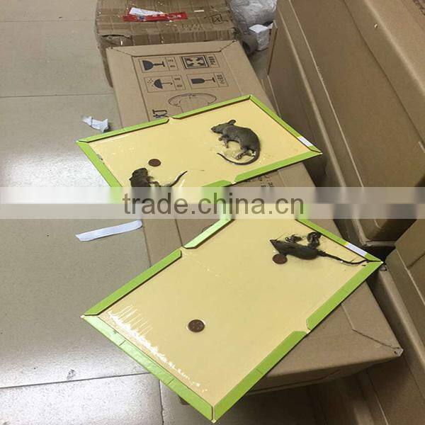 rat Catcher GlueTraps board Sticky mousetrap