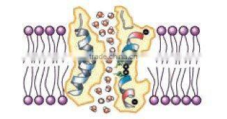 RF Mesotherapy body slimming machine CE