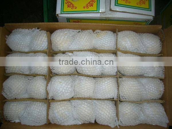 fresh ya pear&new crop&the most lowest price