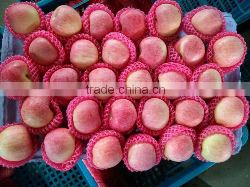 Hot sale chinese Fuji apple