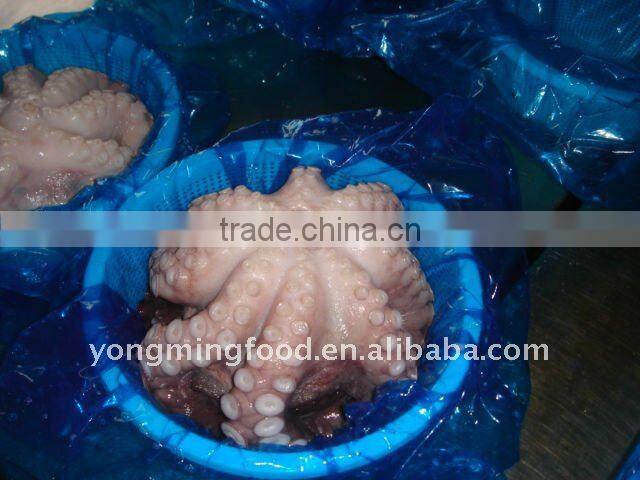 Frozen octopus IQF vulgaris