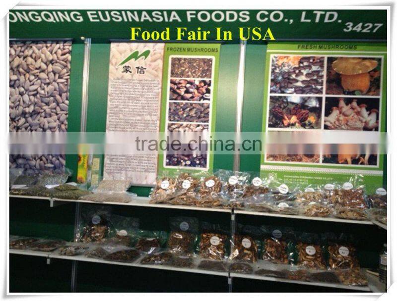 Canned whole button mushroom, mushroom champignon