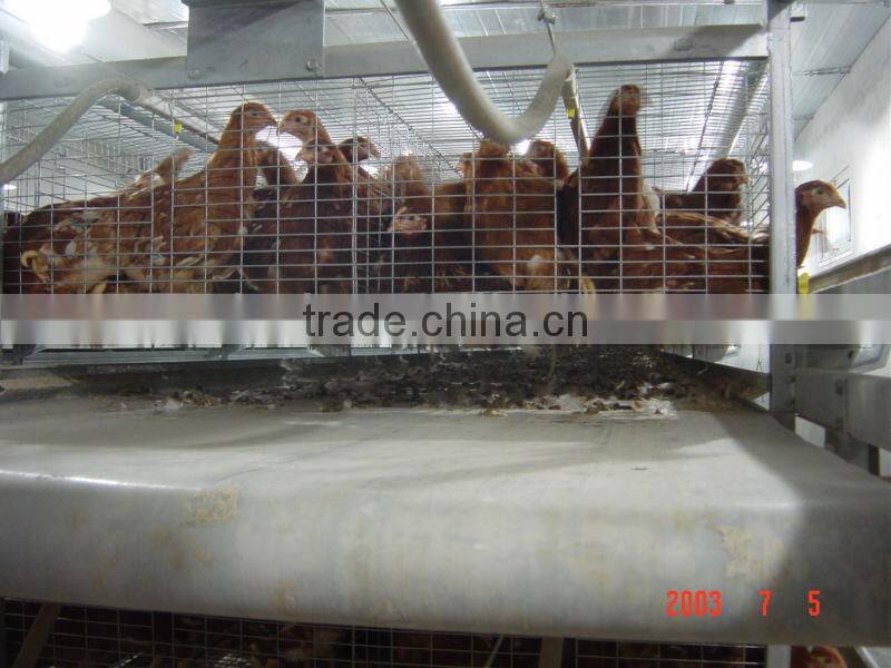 H-type Multi-tier Hot Galvanized Steel Chicken Coop