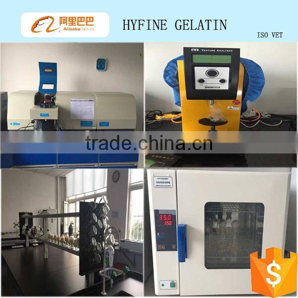 High quality hydrolyzed bovine Collagen powder for sports beverage