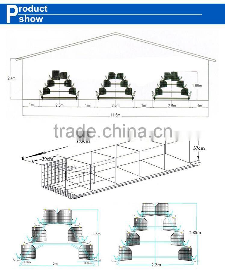 Hot sale 3 4 layer chicken cage egg chicken cage
