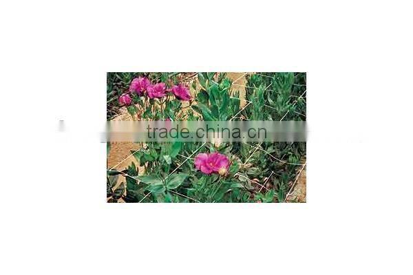 Commercial Bird & Bug Netting