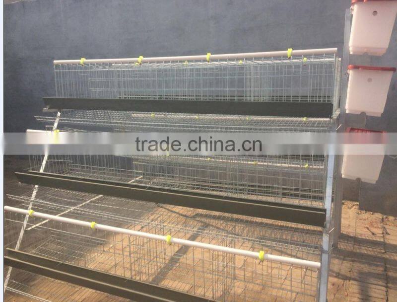 Better Factory A and H type bird chicken layer cage