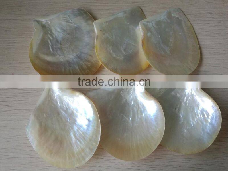 Wholesale polished white yellow mother of pearl raw shells