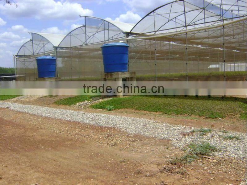 BLD Large Multi-span plastic film Greenhouse commercial use