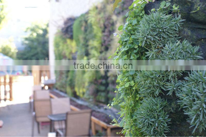 factory price new designed high quality artificial plant wall/vertical wall garden