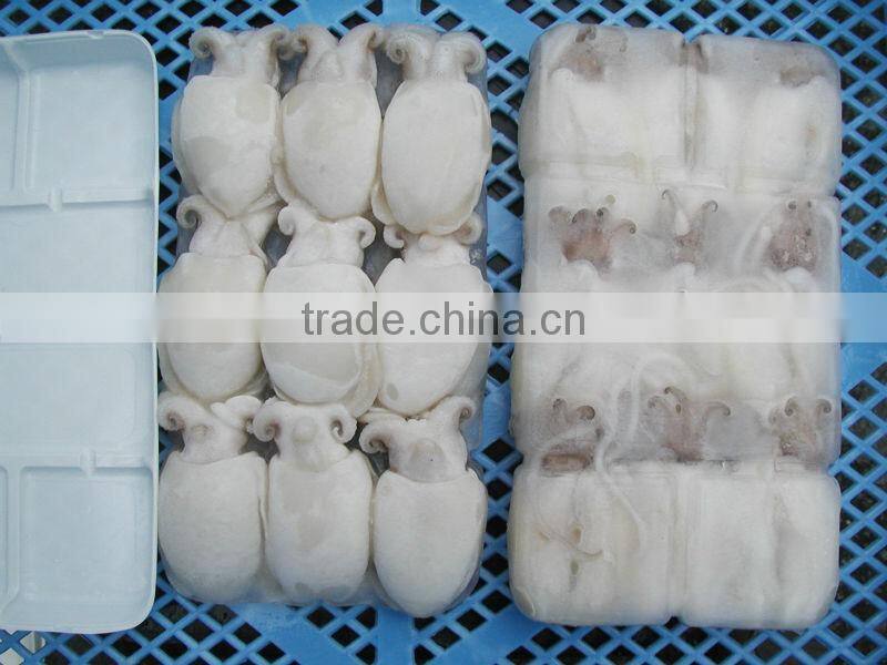 Baby Cutle Fish/Frozen Baby Cutle Fish/Vietnam Seafood