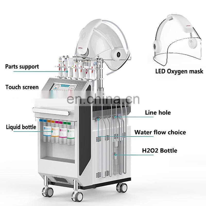 High quality Multifunctional 10 In 1 facial skin care Oxygen Jet Peel  Aqua facial cleansing skin rejuvenation Facial Machine