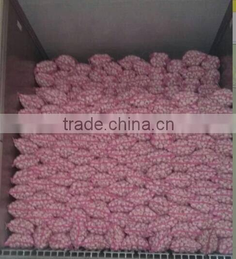 China garlic pric