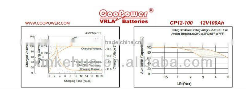AGM Lead acid battery / 12V100AH Solar battery and Rechargeable Battery