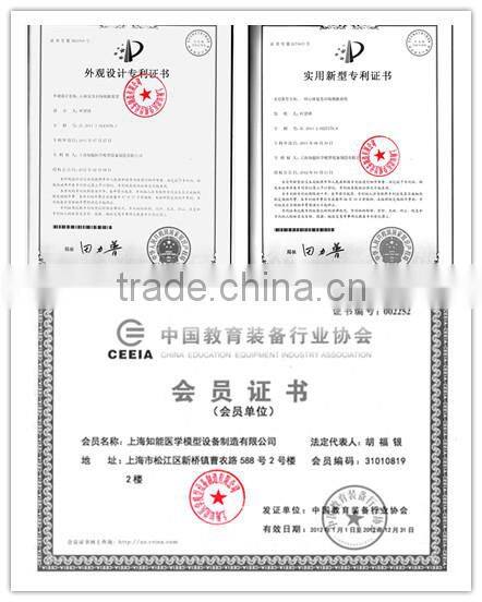 180cm Medical Human Anatomical Skeleton Model