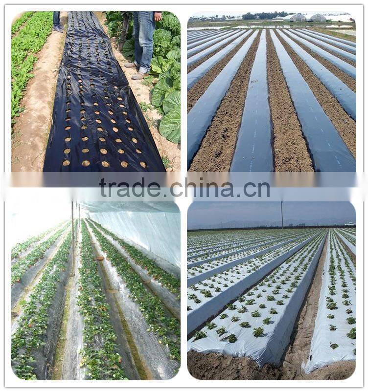 Lowest price with high quality agricultural black mulch film uv polyethylene film