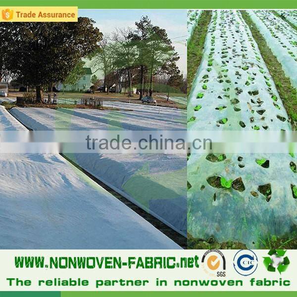 Water Permeable Agriculture Non woven Fabric/PP Spunbonded Nonwoven Fabric/Agriculture Ground Cover for Plant