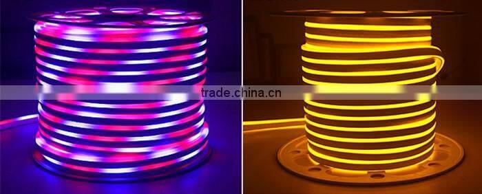 220v/ 12v Outdoor LED Flexible Neon Strip Light for Building Decoration