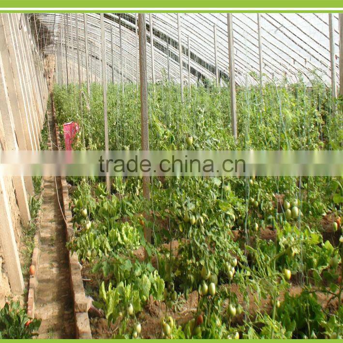 Solanberry fertilizer solanaceous vegetables organic fertilizer eggplant fertilizer