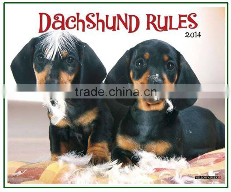 Dachshund Puppies 2014 Wall Calendar Cute Printing