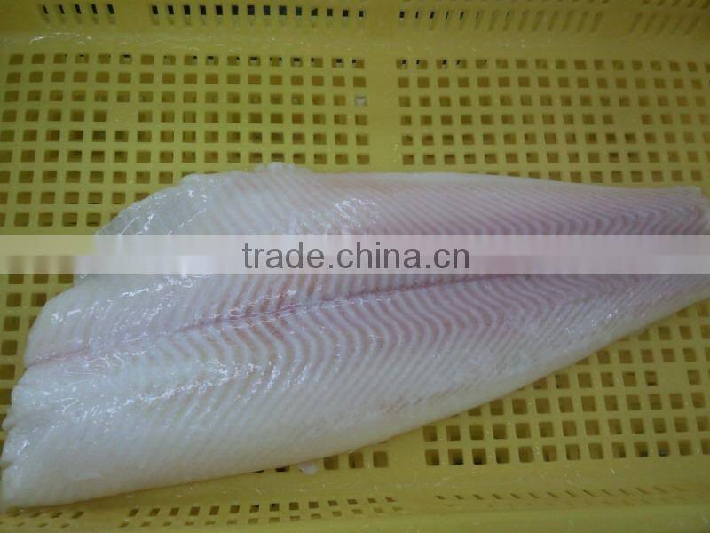 Frozen pacific halibut fillet