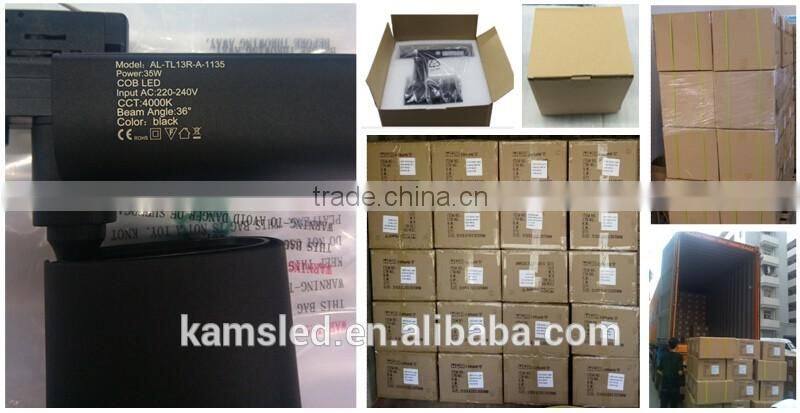 Global design spot track lighting high lumen rail light COB 30W LED Track Light