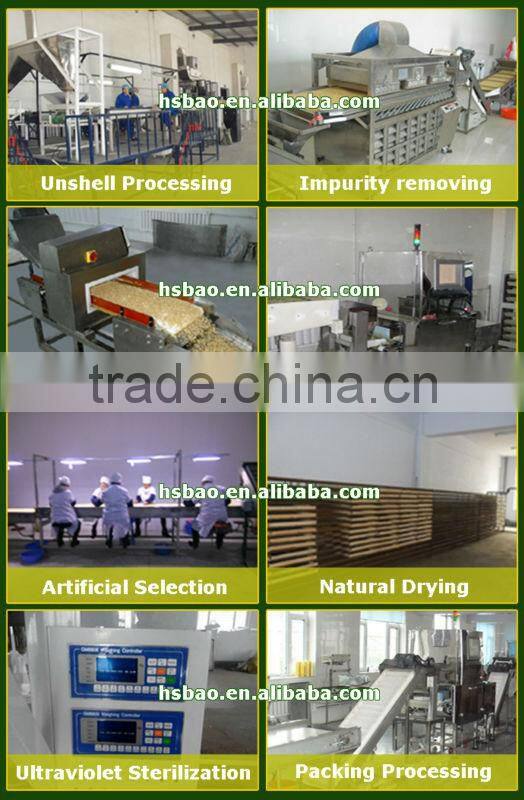 Wholesale Factory Direct Top Quality Chines Red Korean Pine Nut Kernels