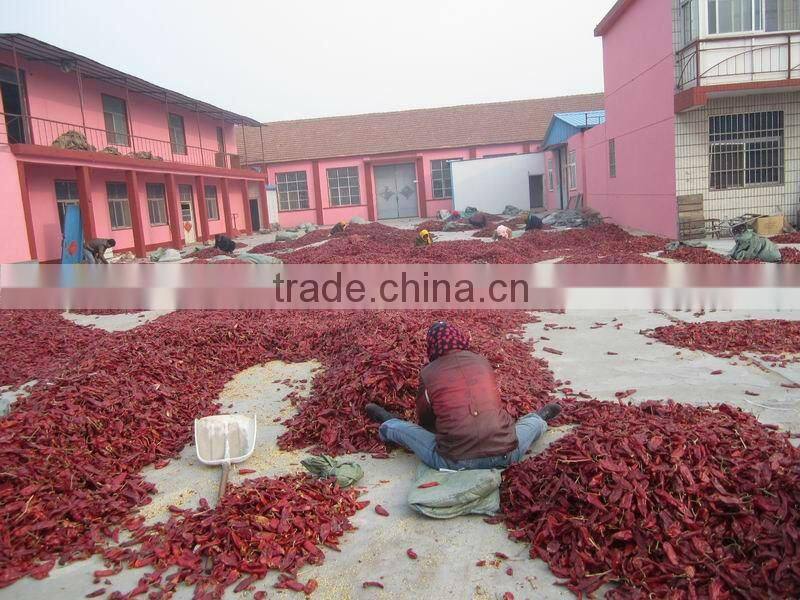 yidu chilli