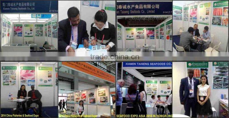 20cm+ Sea frozen horse mackerel to make money so easy