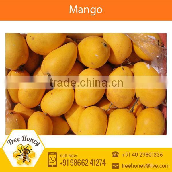 Highly Demanded Fresh Indian Mango Available at Low Market Price