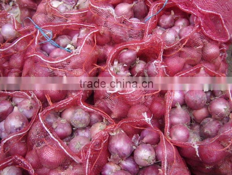 good red onion for sale China market price