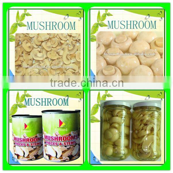 canned mushroom snacks in tin