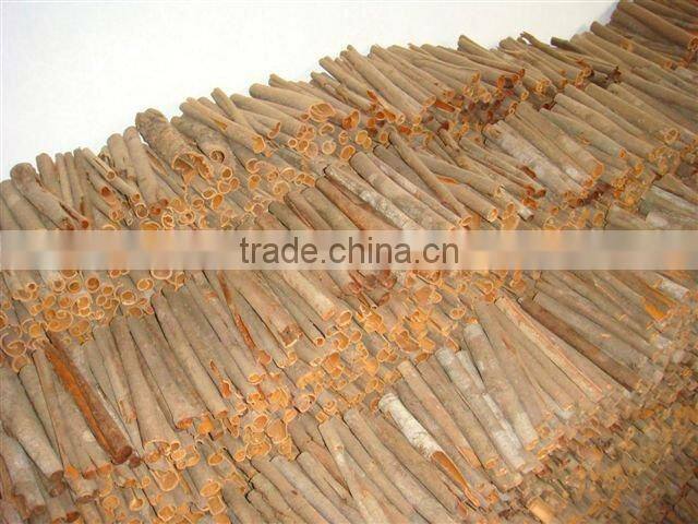 China cassia tube