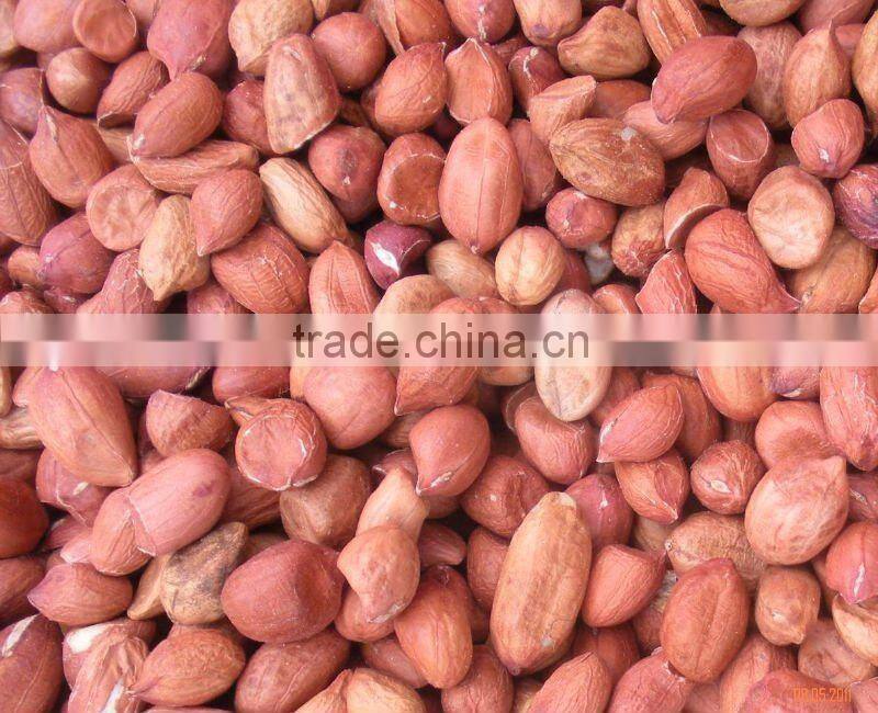 peanut kernels product