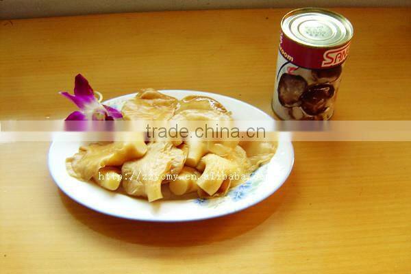 canned vegetable abalone mushroom for sale